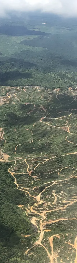 Die andere Realität